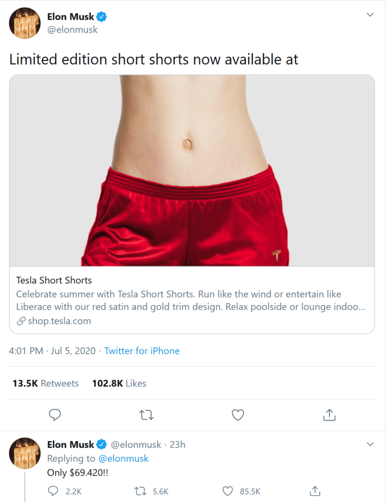 Update on TSLA; Elon Musk's reckless and immature behavior; Tesla's